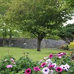 Casa de hóspedes Townsend House Birr