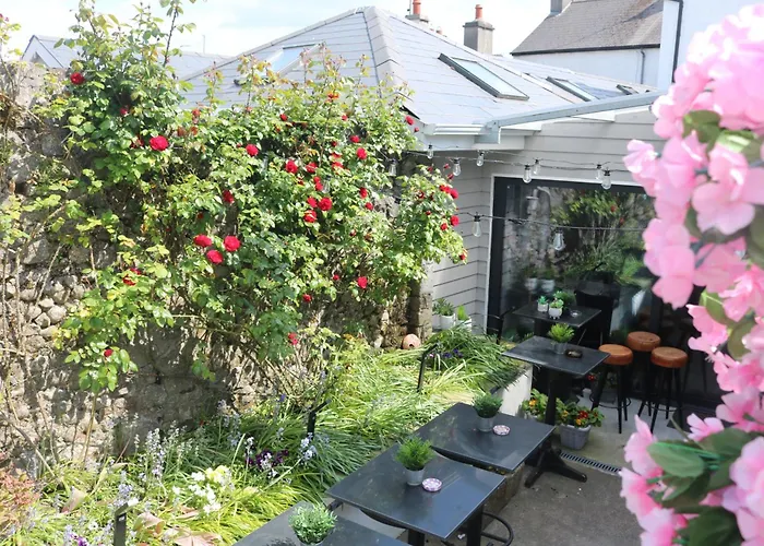 Konukevi Townsend House Birr